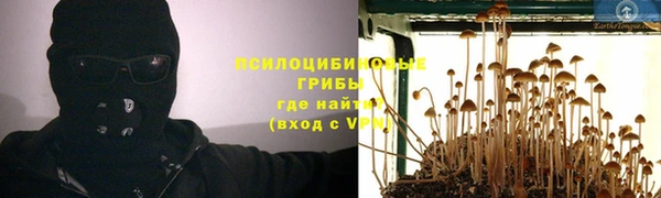 ALPHA PVP Мегион