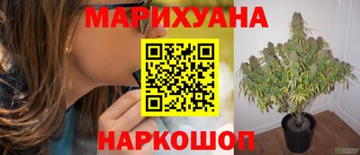 PSILOCYBIN Краснознаменск