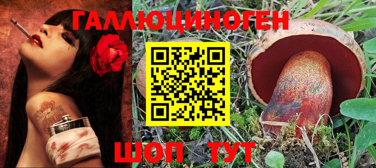 как найти закладки  Фурманов  Псилоцибиновые грибы Psilocybine cubensis 