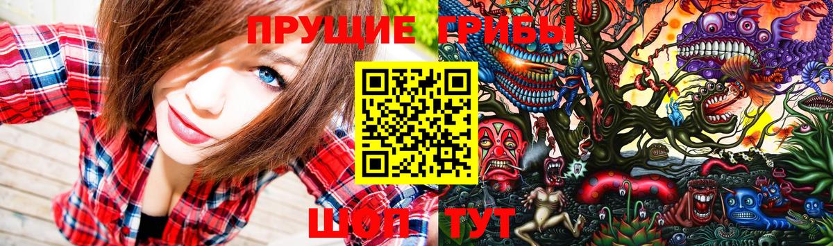 Галлюциногенные грибы Psilocybe Фурманов