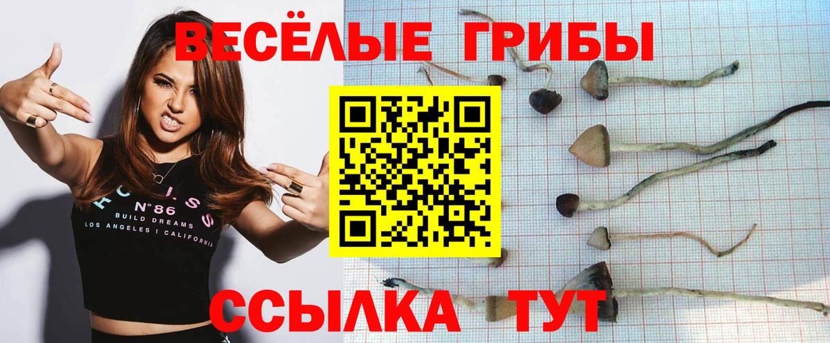 Псилоцибиновые грибы MAGIC MUSHROOMS Фурманов